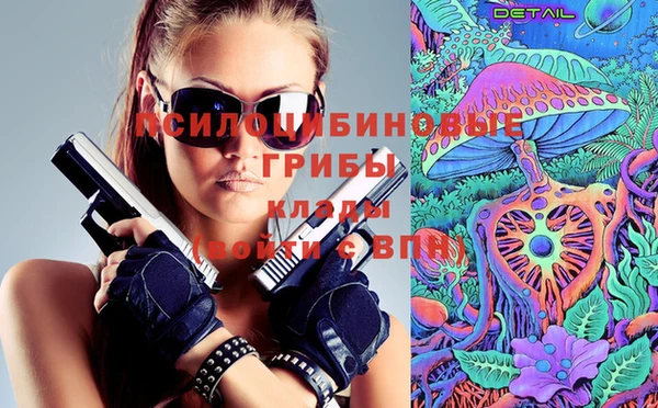 круглые Алзамай