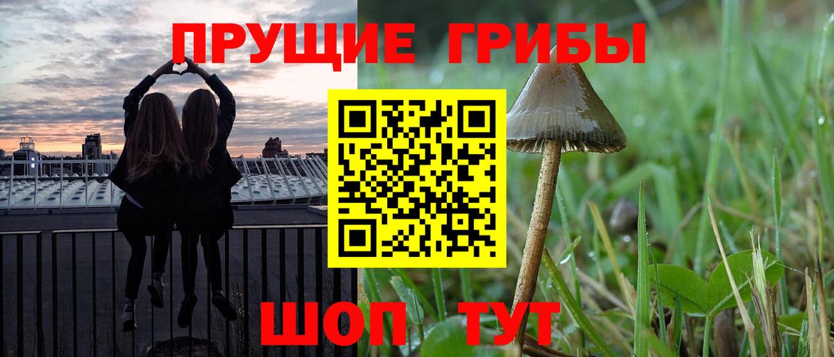 Псилоцибиновые грибы прущие грибы Аша