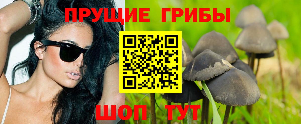 купить   Галлюциногенные грибы MAGIC MUSHROOMS  Вход с VPN  Псилоцибиновые грибы мицелий  Аша 